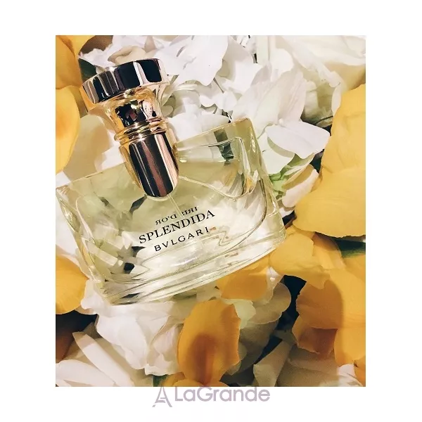 Bvlgari Splendida Iris d`Or ��������������� ���� (������)