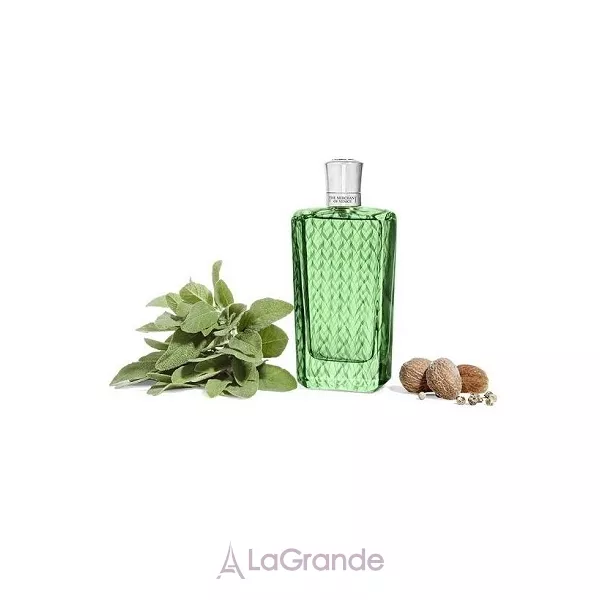 The Merchant of Venice  Dalmatian Sage  ��������������� ����