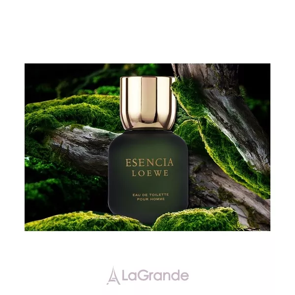Loewe Esencia pour Homme ��������� ���� (������)