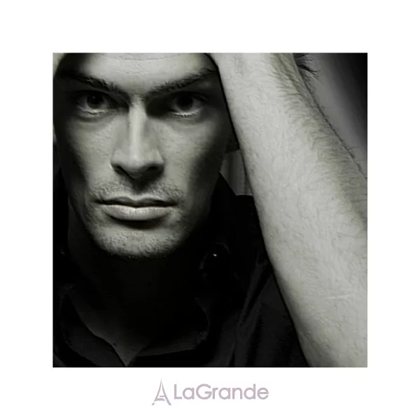 Pierre Guillaume Huitieme Art Ambre Ceruleen Black Bottle ��������������� ����