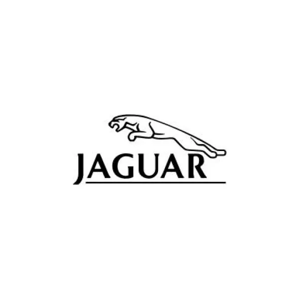 Jaguar Pace Jaguar �������� ���� (������)