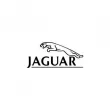Jaguar Pace Jaguar   ()