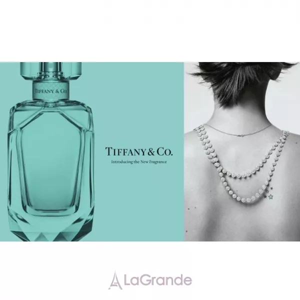Tiffany Tiffany & Co ����������� ���� (������)