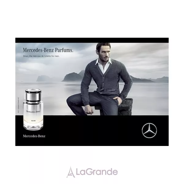 Mercedes-Benz Silver ��������� ����