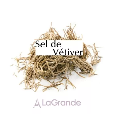 The Different Company Sel de Vetiver  