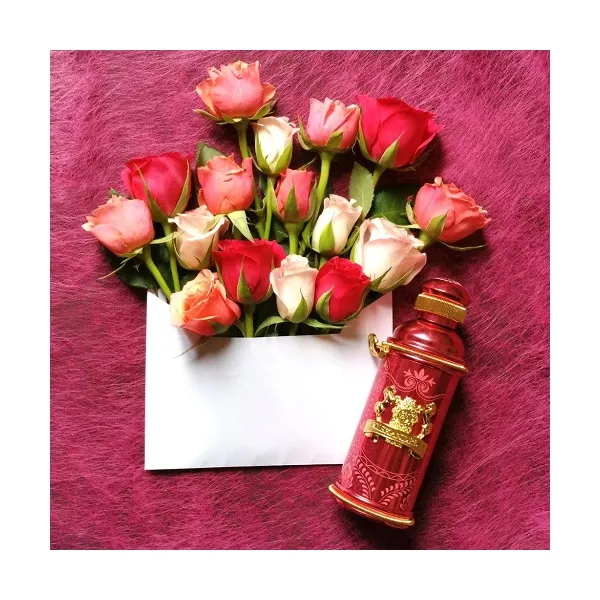 Alexandre J Altesse Mysore ��������������� ���� (������)