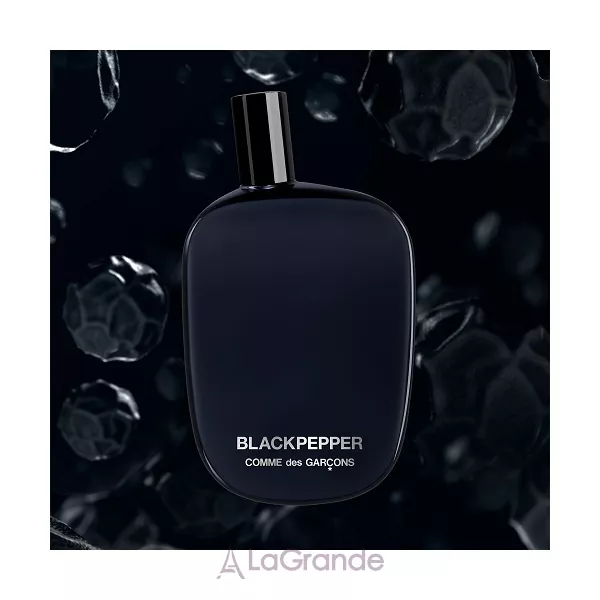 Comme des Garcons Blackpepper ��������������� ����