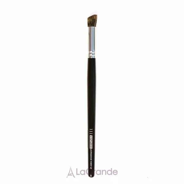 ViSTUDIO 111 ������� ����� ��� �������������� ����
