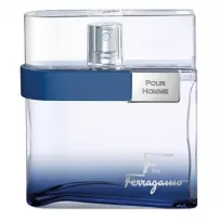 Salvatore Ferragamo F by Ferragamo Free Time ��������� ���� (������)