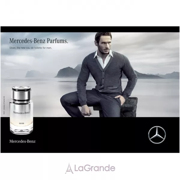 Mercedes-Benz Silver ��������� ���� (������)