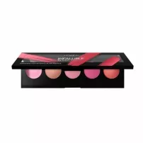 L'Oreal Paris Infaillible Blush Paint Palette ���������������� ������� ������, ������� �� 5 ������