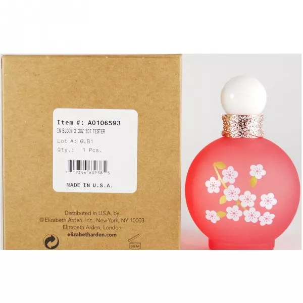 Britney Spears Fantasy in Bloom ��������� ���� (������)