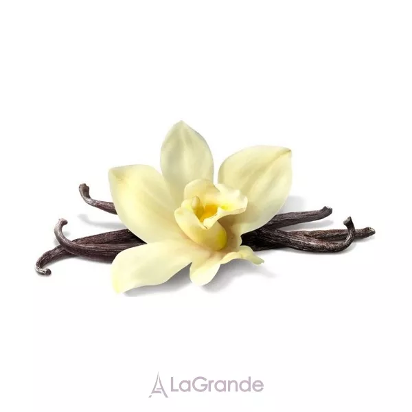 Montale Vanille Absolu ���� ��� ����