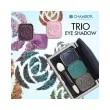 Chambor Trio Eye Shadow    