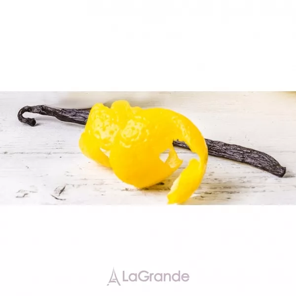 Jacques Zolty Van-Ile ����������� ����