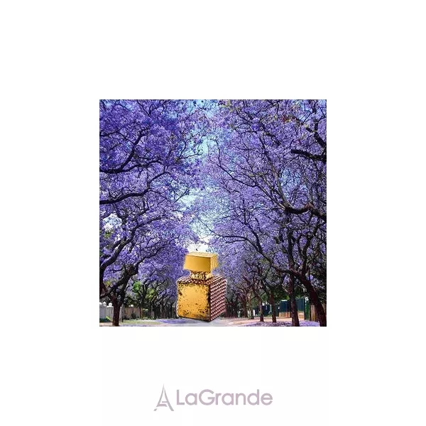 M. Micallef Jacaranda ��������������� ���� (������)