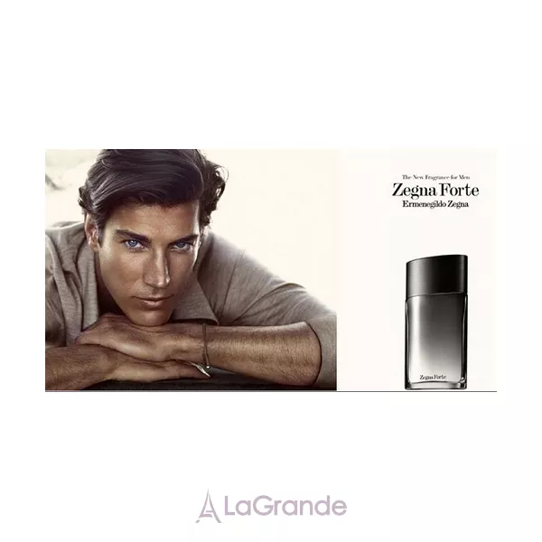 Ermenegildo Zegna Zegna Forte ��������� ���� (������)