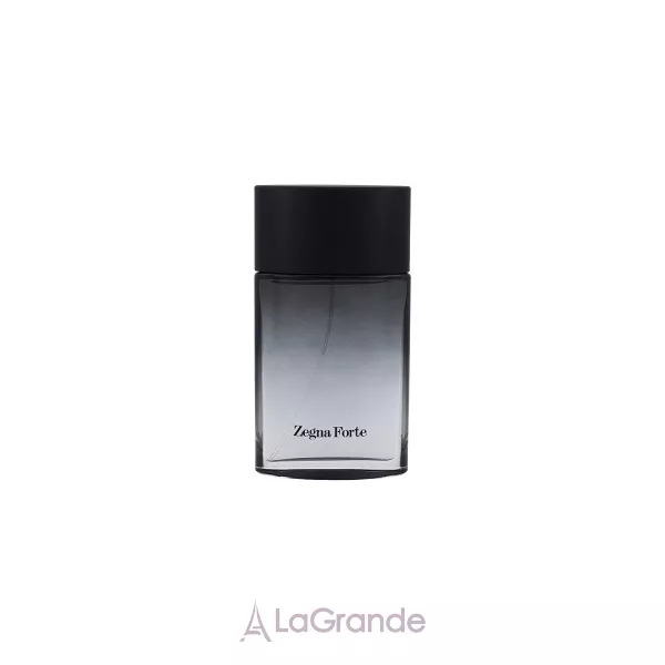 Ermenegildo Zegna Zegna Forte ��������� ���� (������)