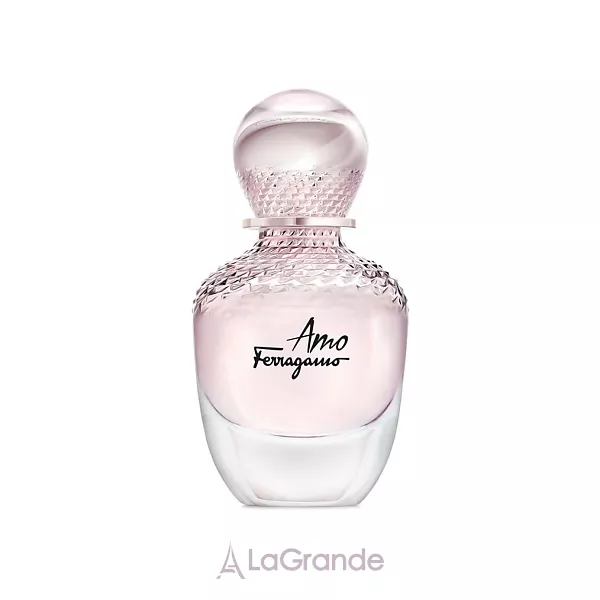 Salvatore Ferragamo Amo Ferragamo ��������������� ���� (������)