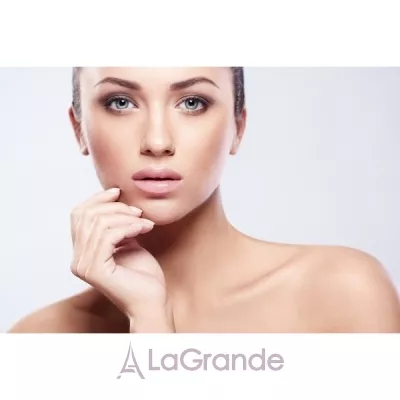 Shiseido Benefiance Full Correction Lip Treatment    ,   '.
