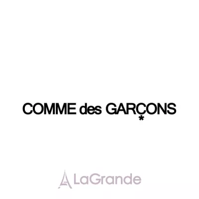 Comme Des Garcons Series 3 Incense Avignon   ()