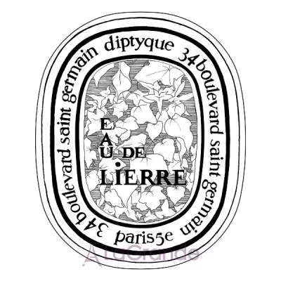 Diptyque Eau de Lierre   ()