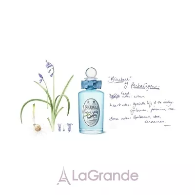 Penhaligon`s Bluebell    ()