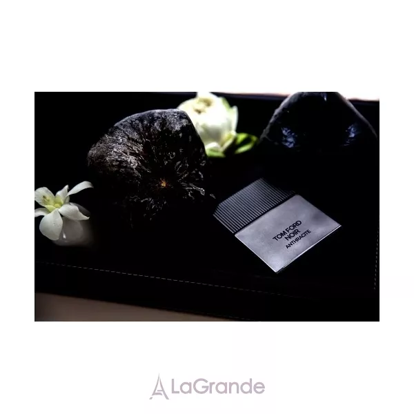 Tom Ford Noir Anthracite ����������� ���� (������)