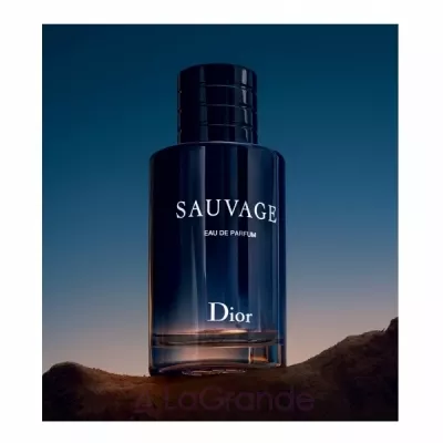 Christian Dior Sauvage Eau de Parfum  