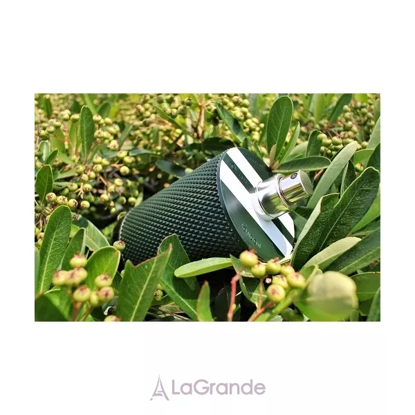 Alfred Dunhill Icon Racing ����������� ����