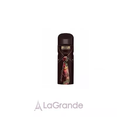 Armaf Enchanted Vintage Men 