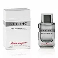 Salvatore Ferragamo Attimo Pour Homme ��������� ����