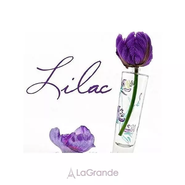Syed Junaid Alam Lilac ��������������� ����