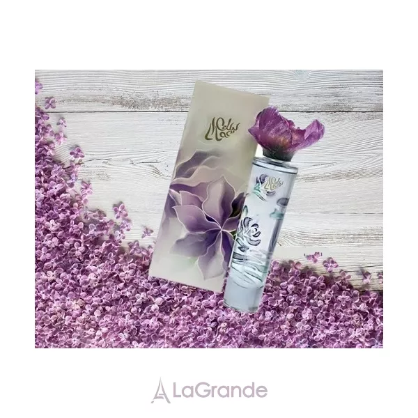 Syed Junaid Alam Lilac ��������������� ����