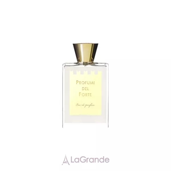Profumi del Forte Versilia Vintage Ambra Mediterranea ��������������� ���� (������)