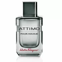 Salvatore Ferragamo Attimo Pour Homme ��������� ���� (������)