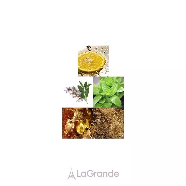 10th Avenue Karl Antony Designer ��������� ����