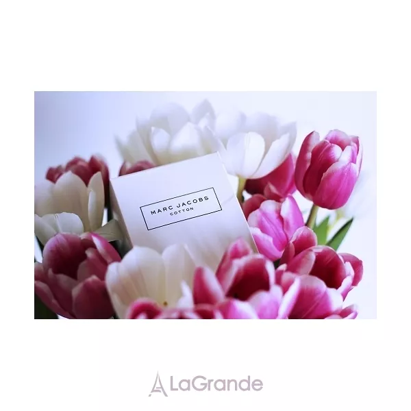 Marc Jacobs  Cotton Splash  ��������� ����