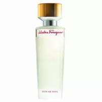 Salvatore Ferragamo Tuscan Soul ��������� ���� (������)
