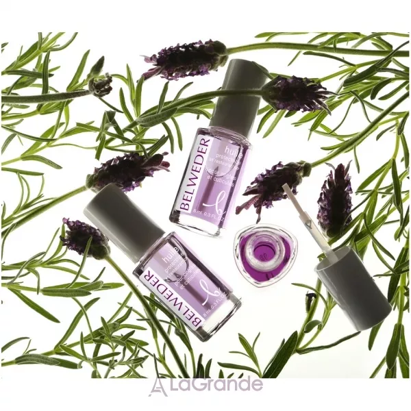Belweder Huile protectrice et restauratrice pour ongles et cuticules ³���������-������� ��� ��� ����� �� �������
