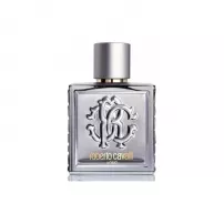Roberto Cavalli Uomo Silver Essence �������� ���� (������)