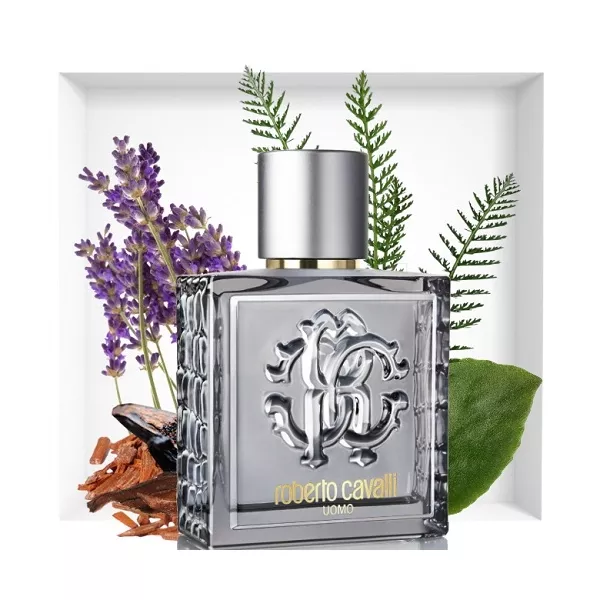 Roberto Cavalli Uomo Silver Essence ��������� ���� (������)