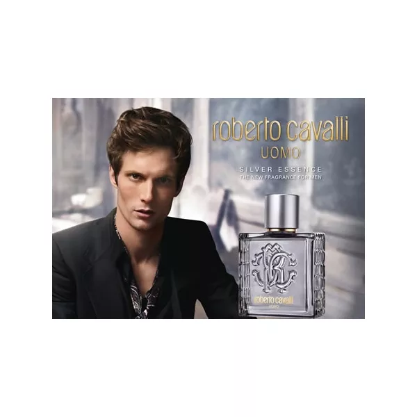 Roberto Cavalli Uomo Silver Essence ��������� ���� (������)