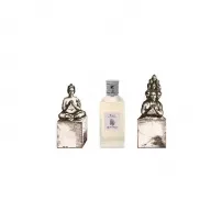 Etro Magot �������� ���� (������)