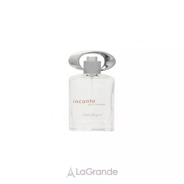 Salvatore Ferragamo Incanto pour Homme �������� ����