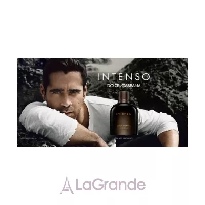 Dolce & Gabbana Intenso pour Homme  (   125  +    100  +    50  )