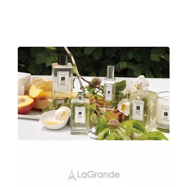 Jo Malone Lime Basil & Mandarin ����� ( �������� Blackberry & Bay 30 �� + ��������  Lime Basil & Mandarin 30 �� )