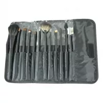 Layla Cosmetics Professional Brush Kit ����� ������ ��� �������
