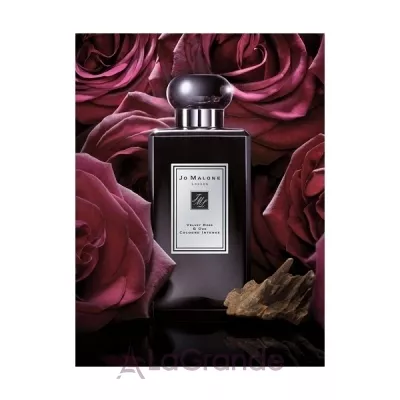 Jo Malone Velvet Rose & Oud Intense 