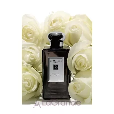 Jo Malone Velvet Rose & Oud Intense 